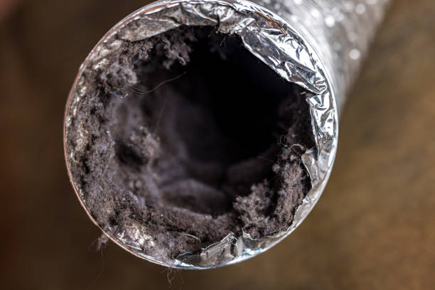 Best HVAC Duct Inspection Services  in Van Horn, TX